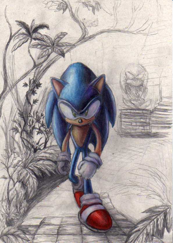 ...sonic.t..