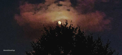 Mr Moon wears a hat of clouds