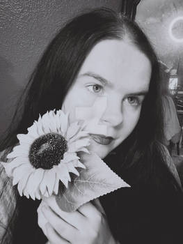 Sweet with and without a Sunflower