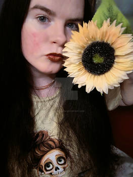Sweet with and without a Sunflower