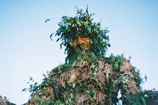 The Green Man