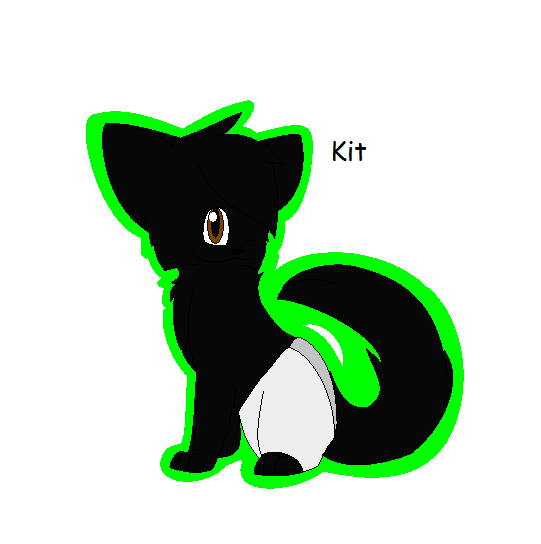 Kit for pokemone1