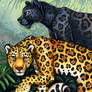 Jaguar Totem Card