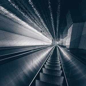 Into the light