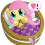 Cuddleshy