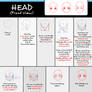 Tutorial How To Draw Head ( Front View )