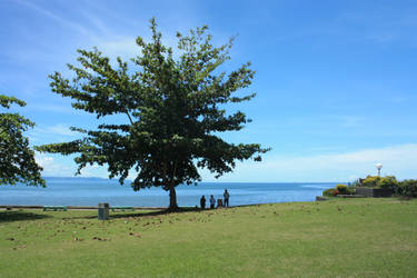 The Whispering Tree