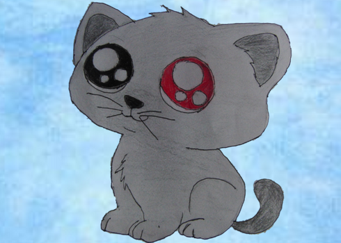 Kakashi Kitten