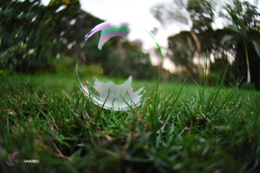 The Lonely Bubble