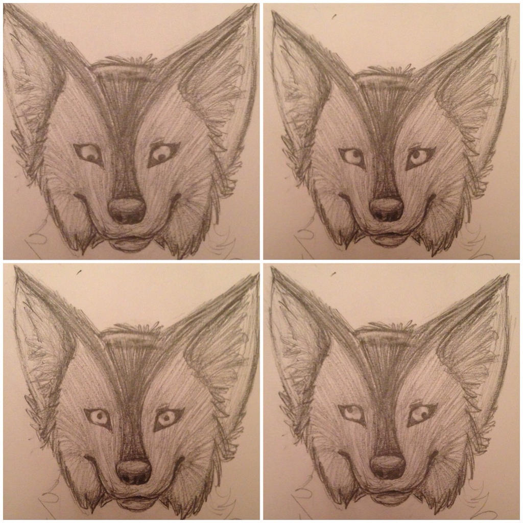 Derpy wolf by Ukulelewolfeh on DeviantArt