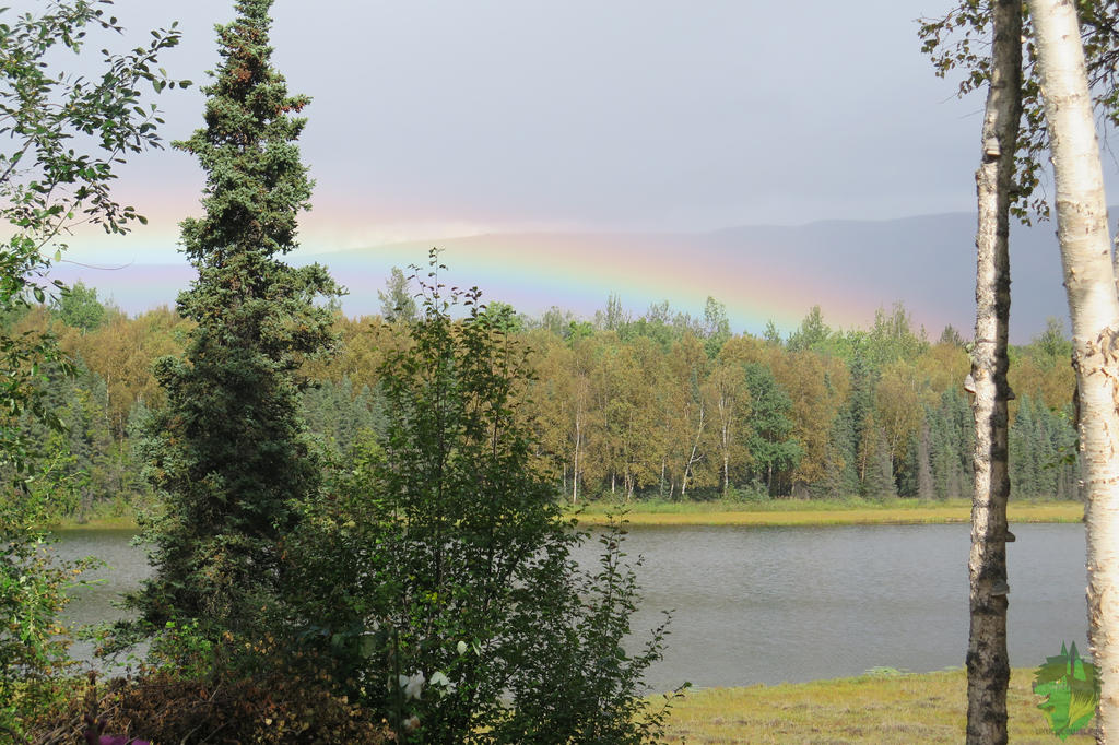 Pretty Ranibow Such a pretty rainbow by Ukulelewolfeh on DeviantArt