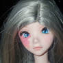 ''Lily - Blue Eyes''