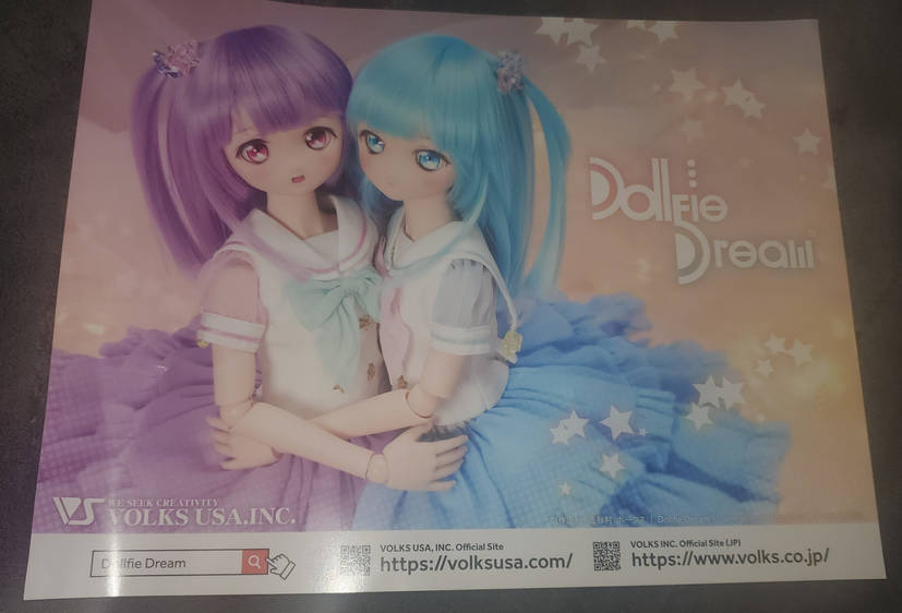 ''Volks BJD Leaflet''