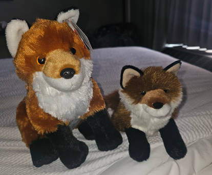 ''Red Foxes''