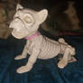 ''Skeleton Dog''
