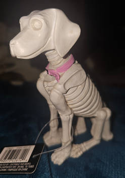 ''Skeleton Dog''