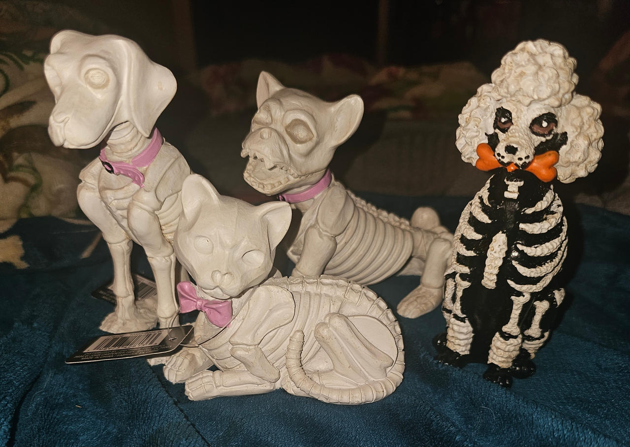 ''Skeleton Animals''