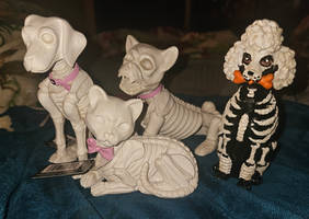 ''Skeleton Animals''