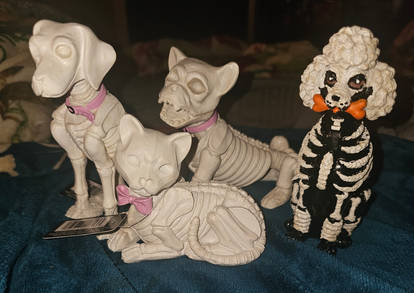 ''Skeleton Animals''