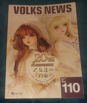 ''Volks News 110''