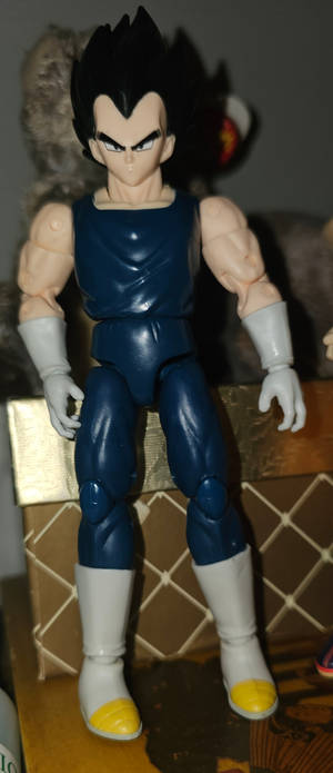 ''Prince Vegeta''