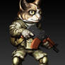 CombatCat1