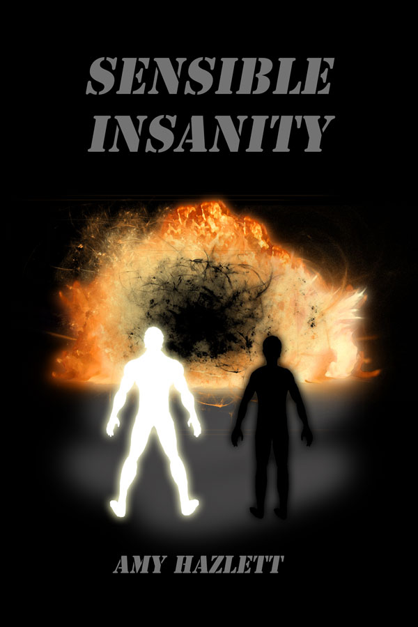 Book cover: Sensible Insanity