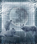 Wolfs by akramkamil