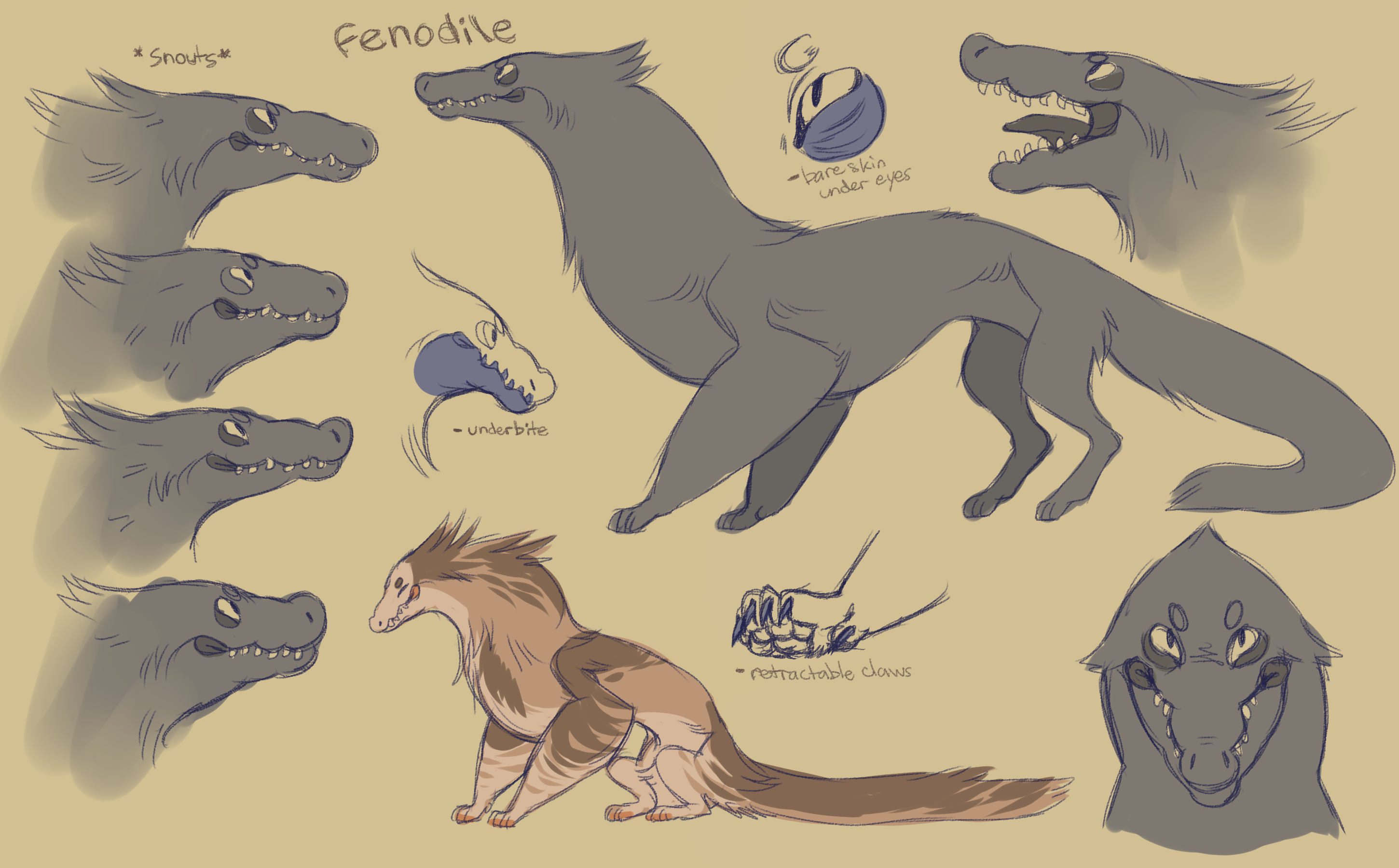 fenodile! (open species, line art included)