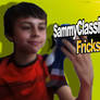 SammyClassicSonicFan Fricks It Up!