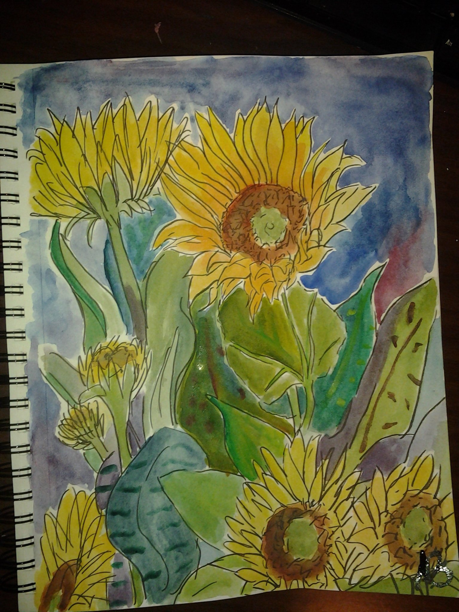 Sunflowers