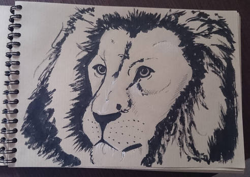 The lion