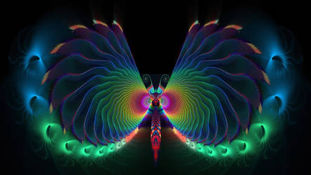 Rainbow Butterfly
