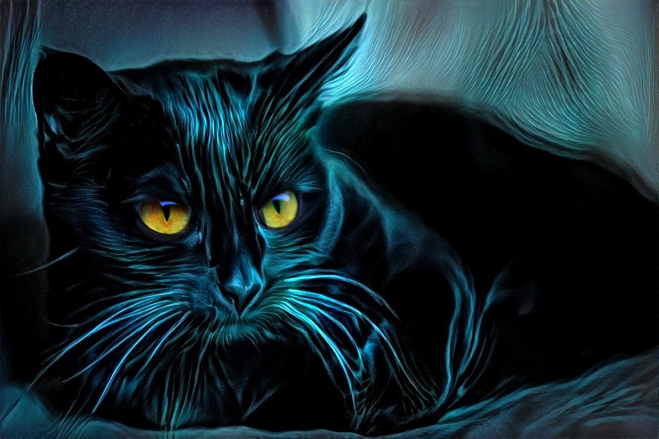Black cats steal hearts, not souls by eReSaW on DeviantArt