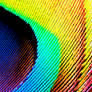 Apple Peacock iPhone Wallpaper
