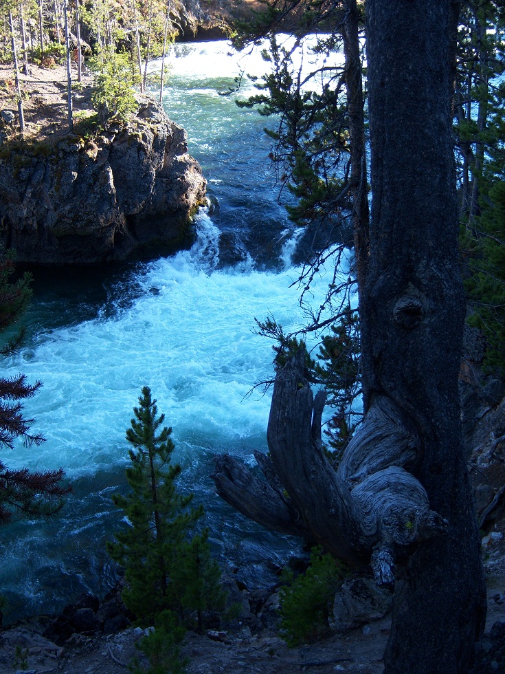 Waterfalltree