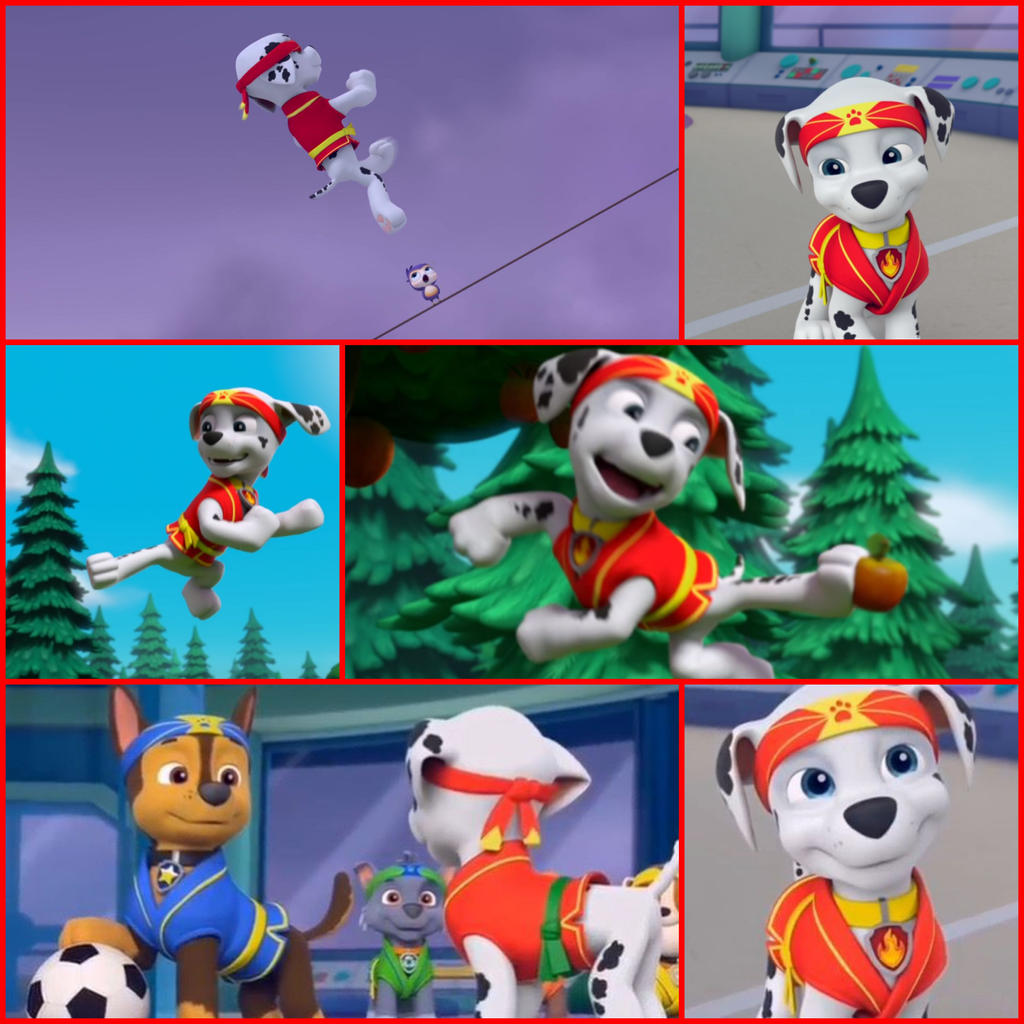 Pup-Fu Marshall #2 by eagleraven on DeviantArt