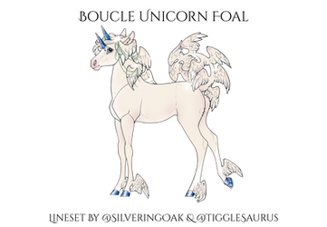 Q674 Boucle Foal Design