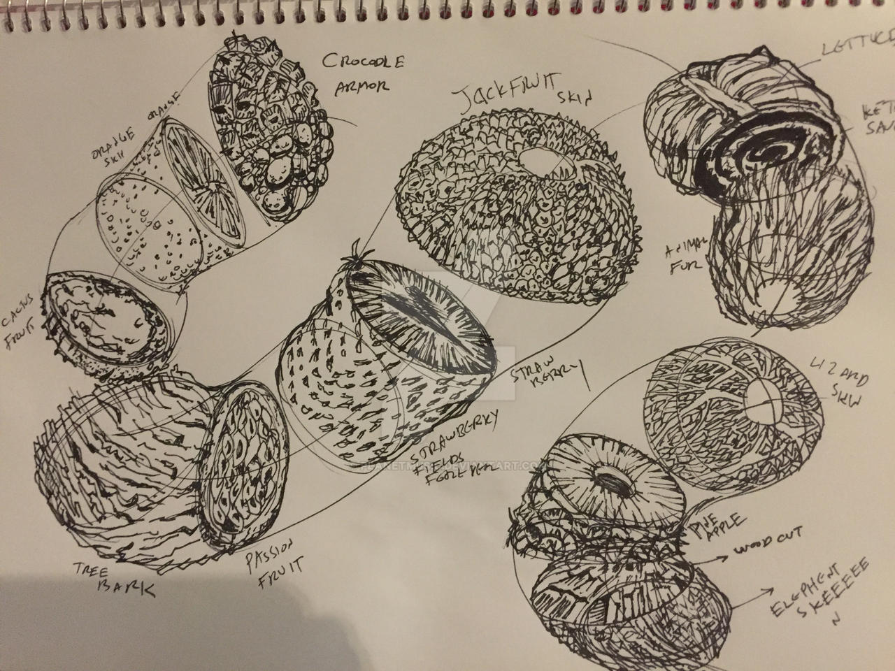 Dissection lesson 2- drawabox by planetmusic on DeviantArt