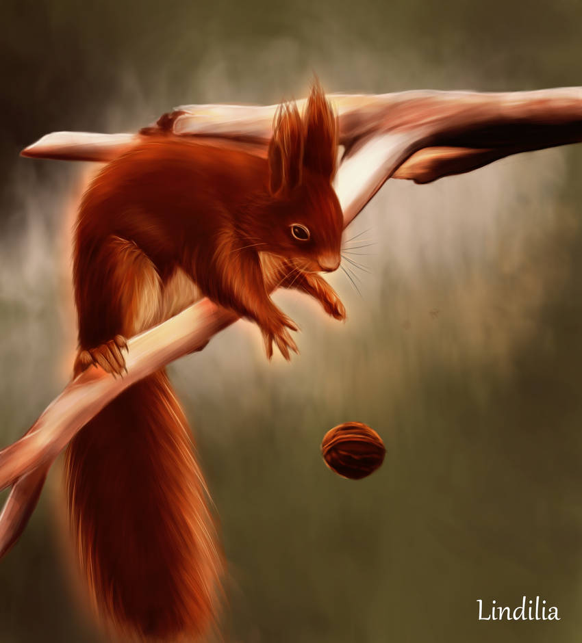 Deviantart Risumon Squirrel autumn squirrel by Lindilia on DeviantArt