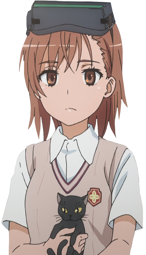 Misaka Raffles Railgun Misaka Clone