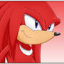 + Knuckles - The Echidna +