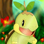 Collab: Turtwig