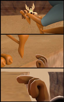 Road Runner Street - 27