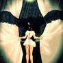 . :: Angel Of Death :: .