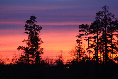 Silhouette Sunset