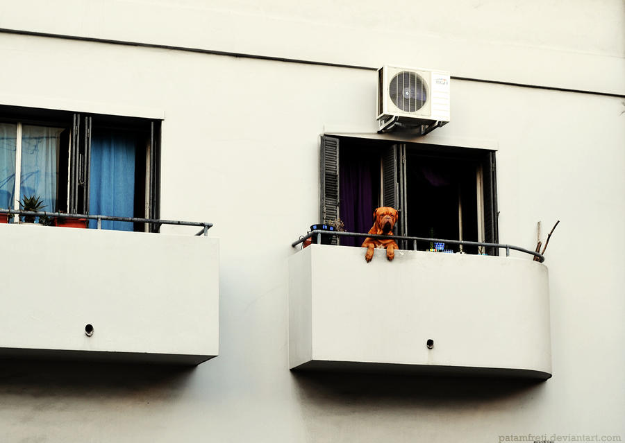 Balcony keeper