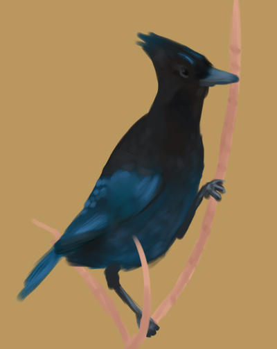 Bird Falling Deviantart Bird by patamfreti on DeviantArt