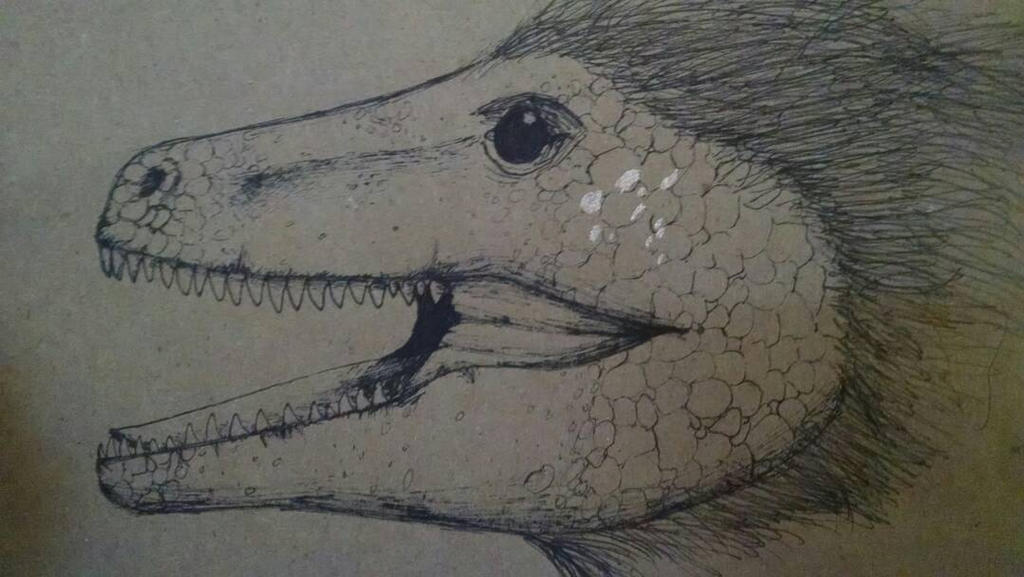 Demon Raptor Drawing Raptor by silverdragon22 on DeviantArt
