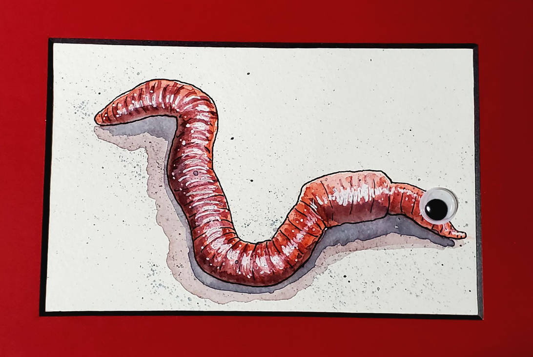 worm watercolor and ink by SensesTaker on DeviantArt
